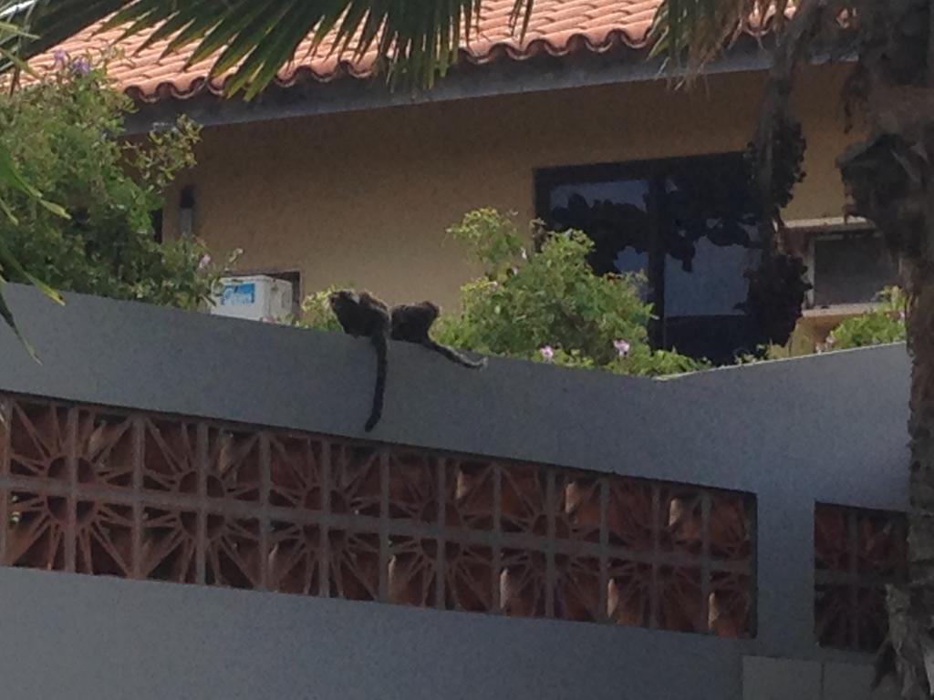 B&B Villa Borromeo Salvador Buitenkant foto